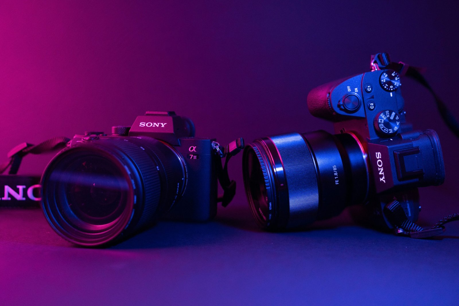 Best Cameras for Beginners