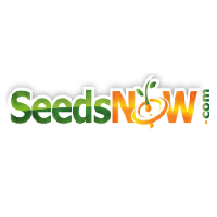 SeedsNow